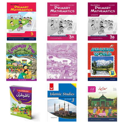 Level 3 RILLS (Complete Books & Notebooks)